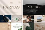 Elegant Serif Font Bundle, a Serif Font by Larin Type Co. (Thumbnail 7 of 15)