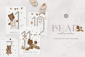 Watercolor Set Bear and His Numbers