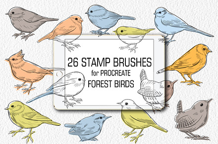 Birds Stamp brushes for Procreate