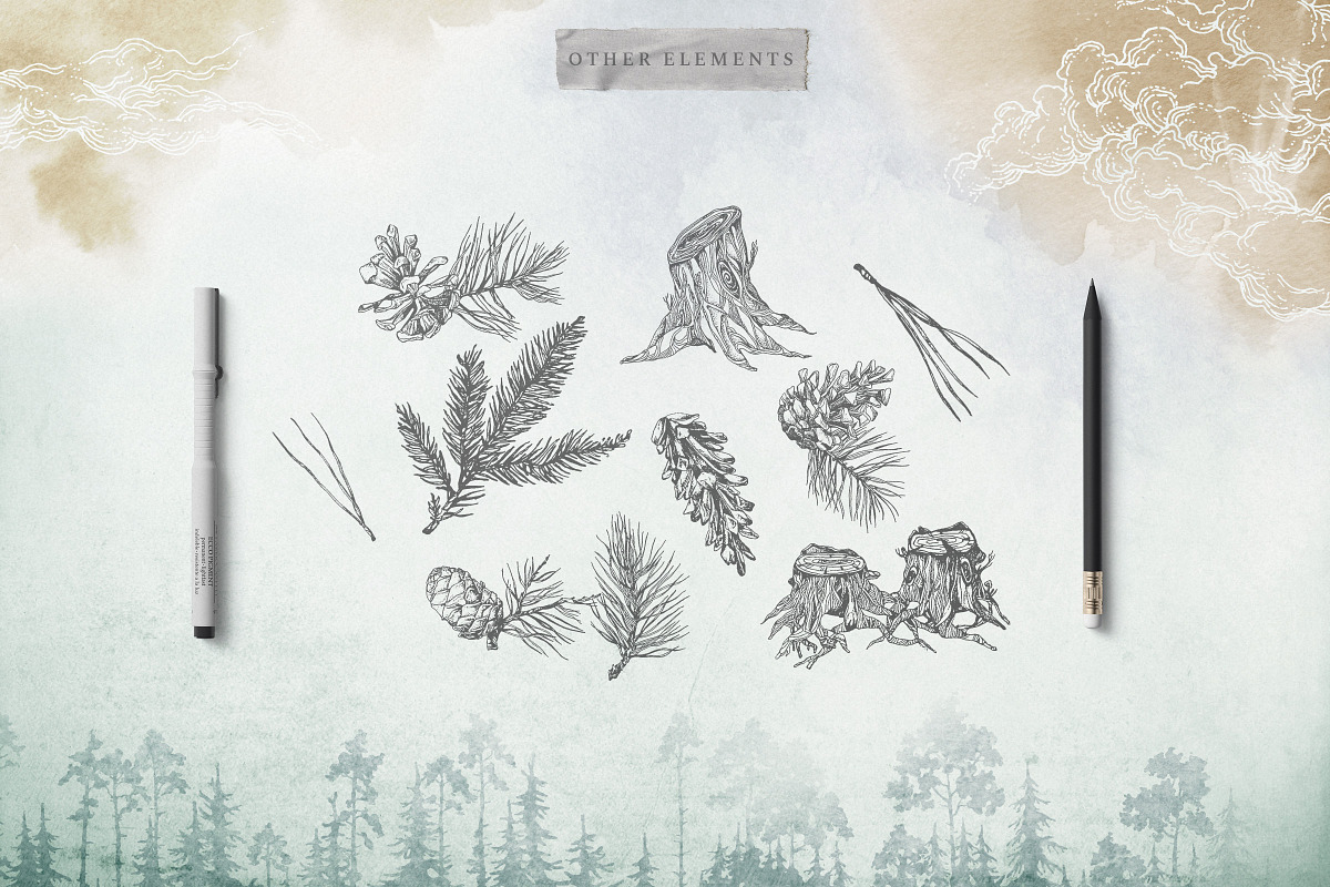 Misty Forest Collection, an Animal Illustration by Michael Rayback Design (Photo 5 of 7)