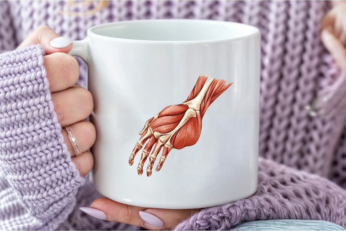 Antique Anatomy Overlays Set, an Illustration by DreamCafeArt (Photo 5 of 7)