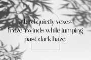 Molgeth - Aesthetic Sans Serif, a Sans Serif Font by Variatype (Thumbnail 11 of 15)