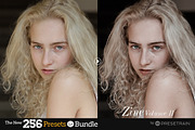 256 New Lightroom Preset Bundle, an Action Add-On by Presetrain Co. (Thumbnail 49 of 51)
