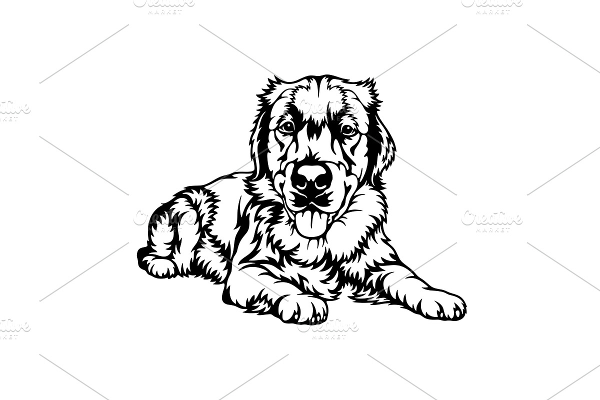 Golden Retriever Dog Breed - Pet, an Animal Illustration by Digital-Clipart