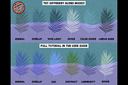 Procreate Shadow Overlay Brush Set, a Brush Add-On by AlwaysBeColoring (Thumbnail 6 of 14)