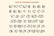 Eros Romano - Elegant Font, a Sans Serif Font by GraphicDash (Thumbnail 11 of 11)