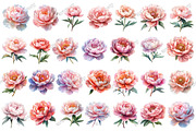 Watercolor Blush Peonies Flowers, an Illustration by designcity5 (Thumbnail 3 of 5)