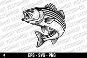 illustration of a Sea Bass, an Animal Illustration by Vectorhight (Thumbnail 3 of 3)