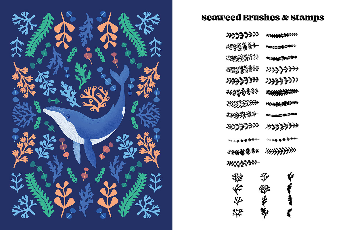 Whale Creator: 100 Procreate Brushes, a Brush Add-On by Pencil Twist (Photo 4 of 11)