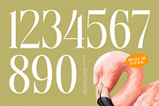 Tigerlife Sparkle Modern Serif, a Serif Font by timelesstype.co (Thumbnail 8 of 20)