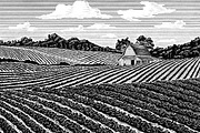 Midwest Farm and Barn, a Food Illustration by blue67sign (Thumbnail 3 of 4)