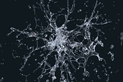 Water explosion, a Food Illustration by Leone_v (Thumbnail 2 of 7)
