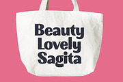Lyngo Sofun Retro Display Font, a Sans Serif Font by timelesstype.co (Thumbnail 16 of 21)