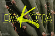 Royal Summer - Cool Display Typeface, a Sans Serif Font by SilverStag Type Foundry (Thumbnail 10 of 18)