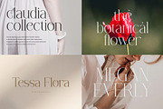 Modern Serif Font Bundle, a Serif Font by Typoraith Co (Thumbnail 14 of 17)