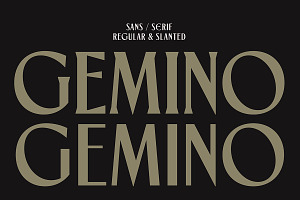 TNSC Gemino - Sans & Serif Typeface, a Serif Font by The Native Saint Club
