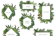 Indoor Plants VECTOR illustrations, a Seasonal Illustration by Natalka Dmitrova art (Thumbnail 12 of 16)