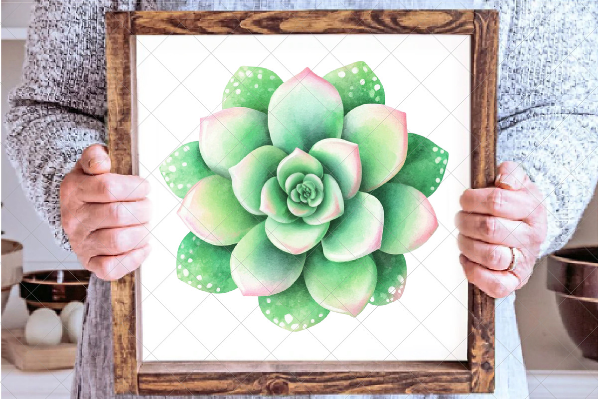 Watercolor Succulent Clipart, an Illustration by SinaCreation (Photo 6 of 7)
