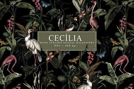 Cecília Pattern Crimson Cherry, a Wallpaper Graphic by Luiz da Rolt Grathwohl
