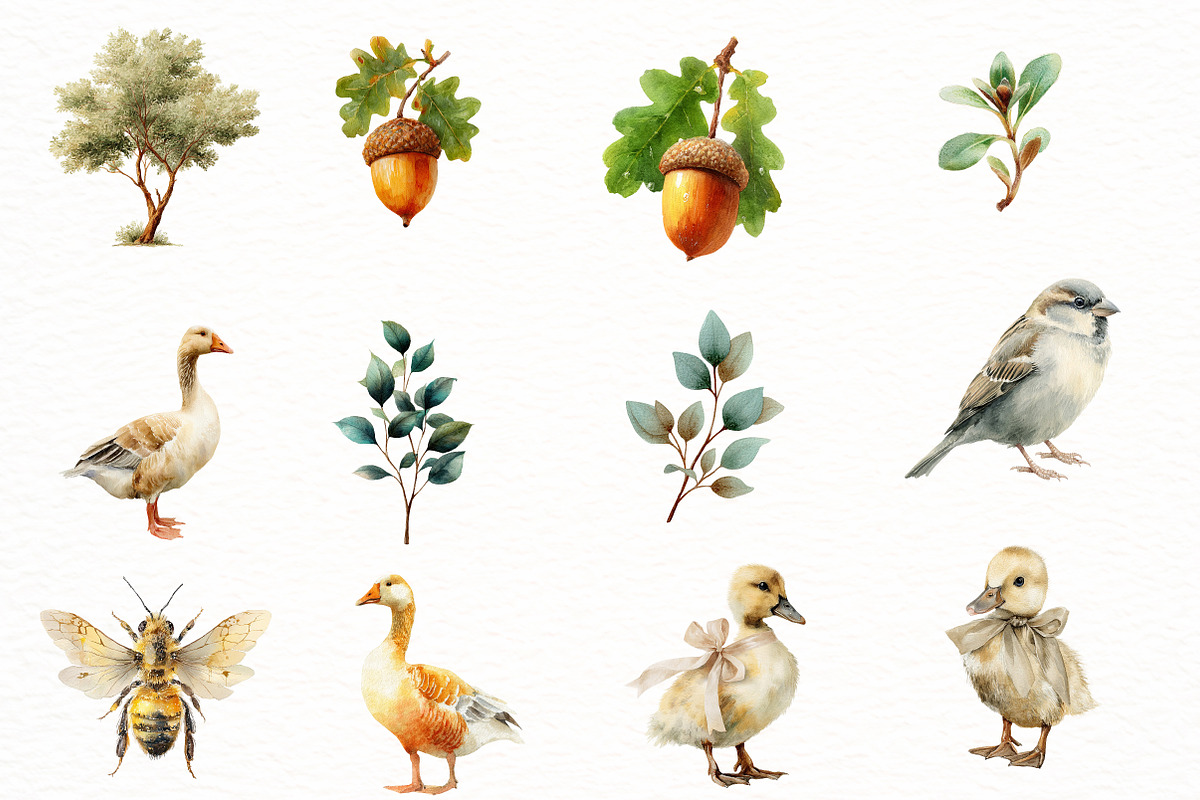 Watercolor woodland Clipart, an Illustration by Designworld (Photo 3 of 8)