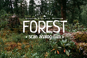 10 x Forest Film Photo Pack, a Nature Photo by GoodMomentShop (Thumbnail 1 of 4)