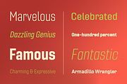 Gineso, a Sans Serif Font by insigne (Thumbnail 4 of 4)