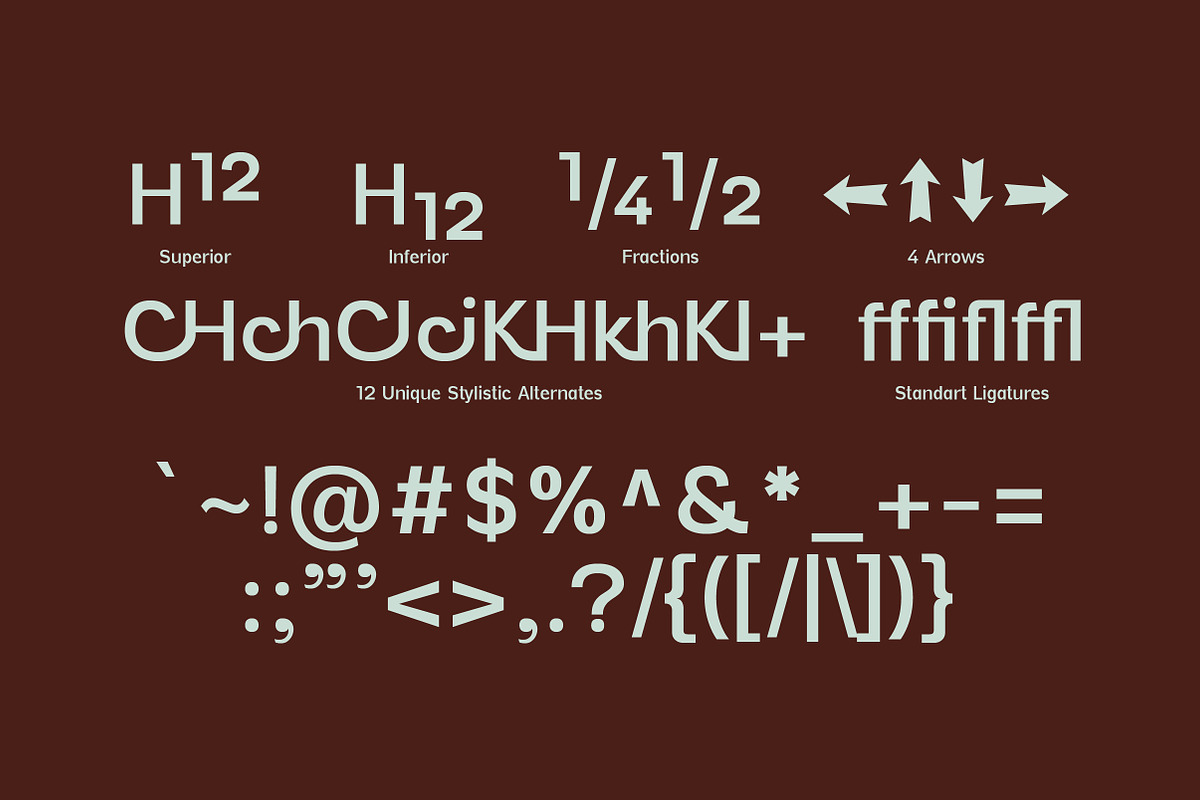Vynce Sans Picturesque Family, a Sans Serif Font by Lettertype Studio (Photo 10 of 15)