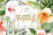 Tropical watercolor collection, a Decorative Illustration by ReachDreams (Thumbnail 1 of 6)