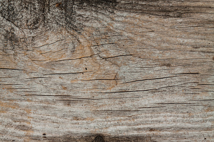Wood texture part 2 IV preview 6