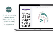 Australian Botanicals 4 in 1 Bundle, a Decorative Illustration by rouxsupplyco (Thumbnail 19 of 25)