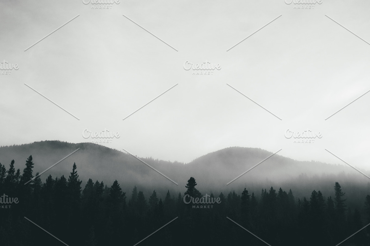 Photo Pack: Blue Forest Fog, a Nature Photo by Gradivis (Photo 4 of 4)