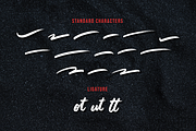Matter Wild a Brush Script Font, a Script Font by Fatmawati (Thumbnail 11 of 12)