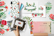 Watercolor Protea set, a Decorative Illustration by annasokol_ (Thumbnail 8 of 8)