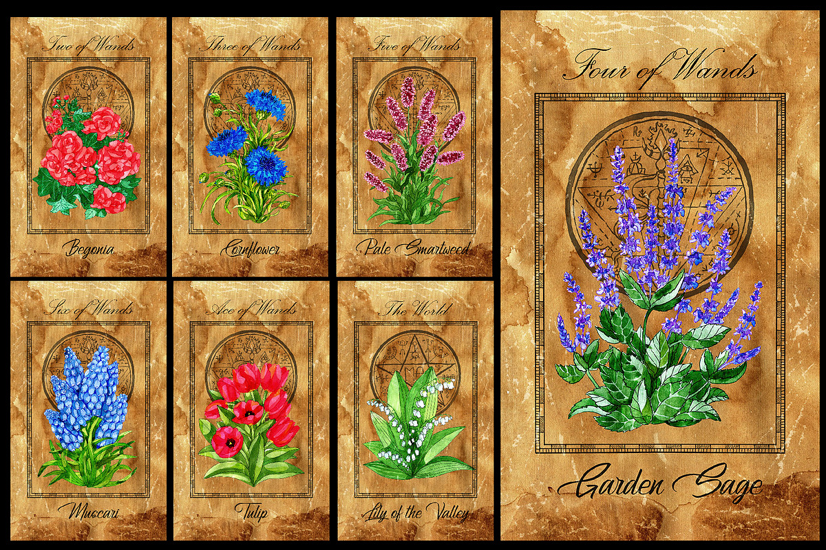 Enchanted flowers tarot deck, a Decorative Illustration by Samiramay (Photo 6 of 12)