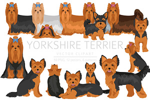 Yorkshire Terrier Clipart