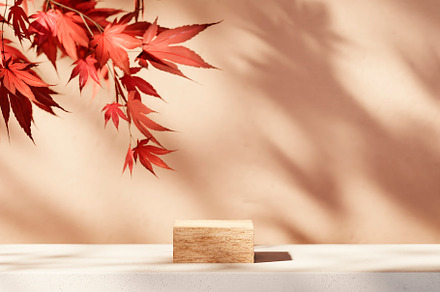 Autumn background scene with red maple leaves and wooden podium
