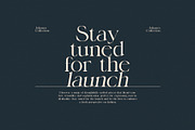 Gagies Modern Serif Font, a Serif Font by Perfectype (Thumbnail 4 of 8)