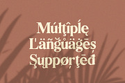 Bilingual Serif Font Duo, a Serif Font by Salt & Pepper Designs (Thumbnail 11 of 13)