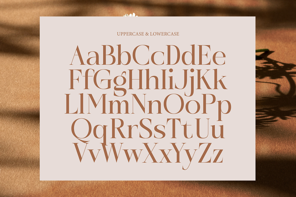Rosse Merona Modern Serif Font, a Serif Font by timelesstype.co (Photo 5 of 20)