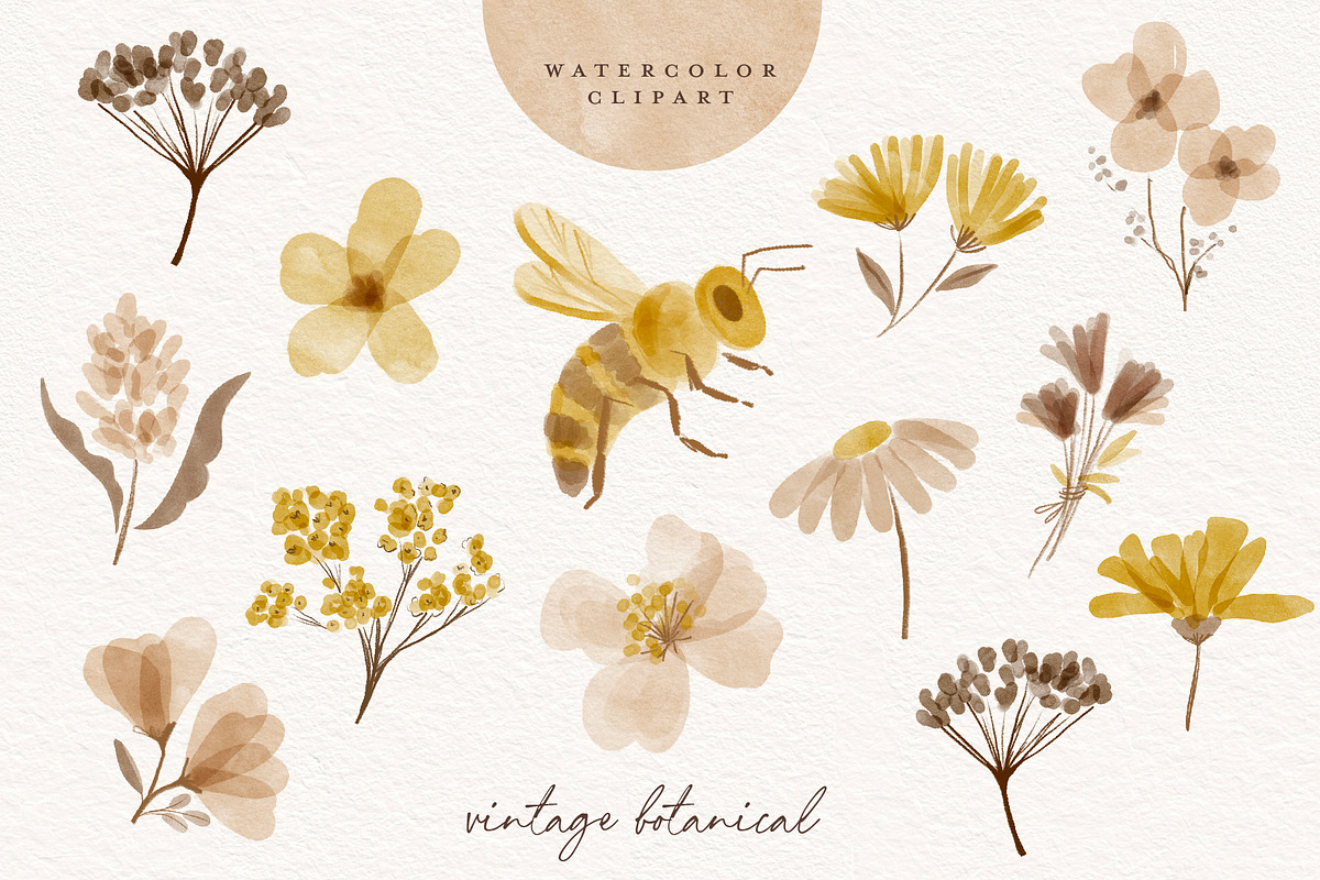Watercolor Vintage Botanical Clipart, an Illustration by beatriceviyiwi (Photo 6 of 6)