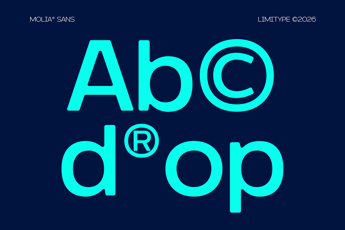 Molia - Sans Serif Font, a Sans Serif Font by limitype (Photo 4 of 12)