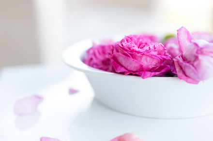 Pink floral roses and petals, a Nature Photo by HelennaArt