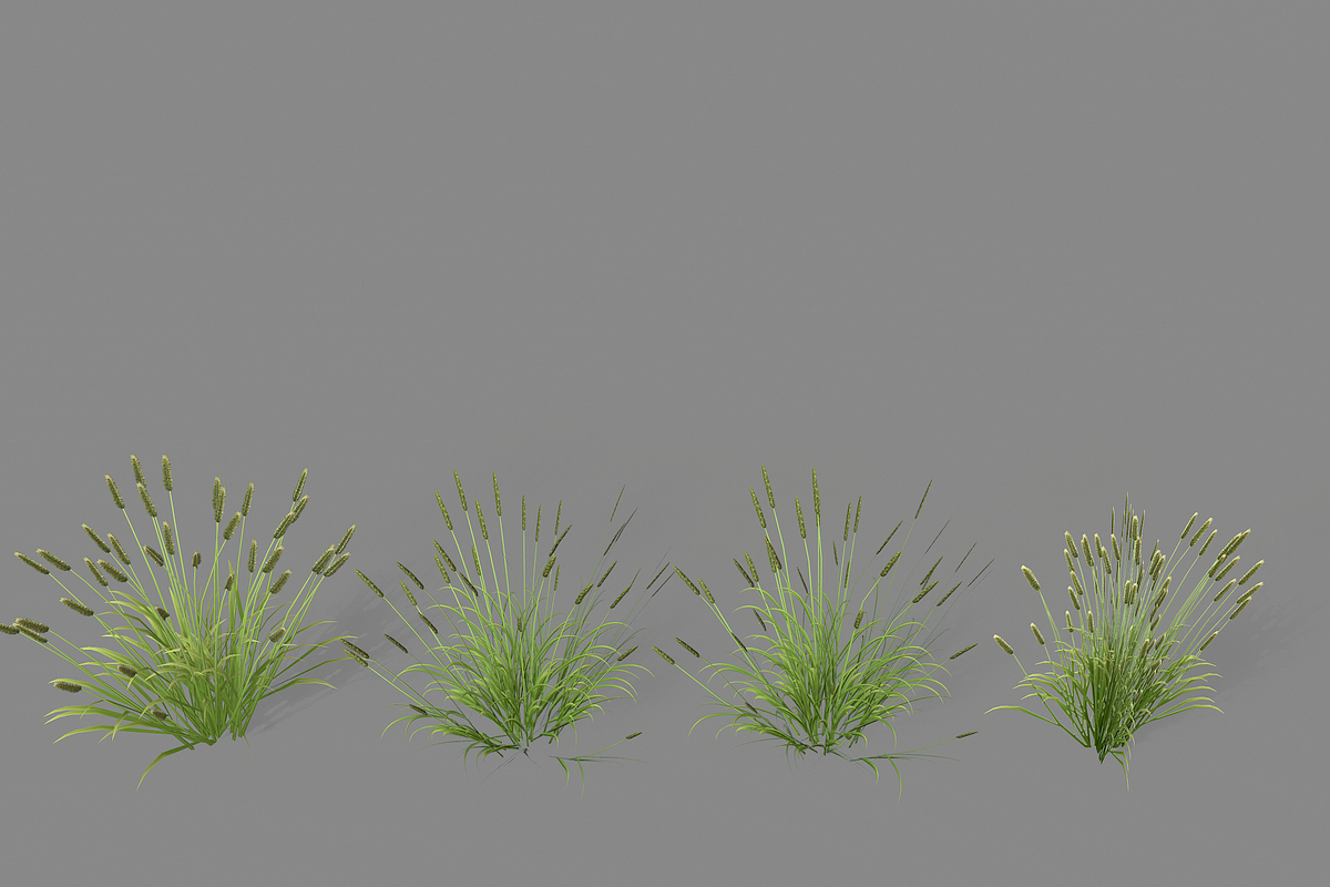 Shrub 2, an Environmental 3D Model by AndrewWhite (Photo 11 of 14)