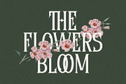 Diomeca - Romantic Gothic Typeface, a Blackletter Font by Imoodev (Thumbnail 2 of 5)