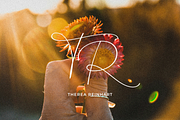 Emily Brunette - Signature Font, a Script Font by Sans & Sons (Thumbnail 9 of 9)