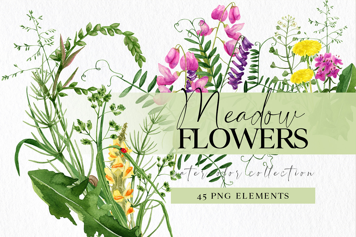 Wild floral clipart meadow flowers, an Illustration by Ksenia Shmakova (Photo 1 of 11)