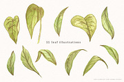 Sunflower Watercolor Illustrations, an Illustration by Fire Spark Studio (Thumbnail 4 of 10)