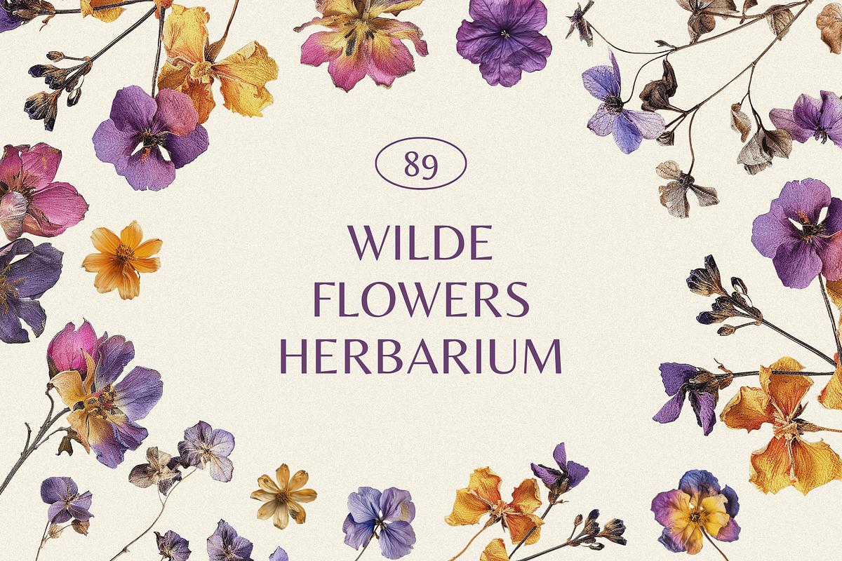 Wilde Flowers Herbarium Collection, an Object Graphic by Nova Studio (Photo 1 of 9)