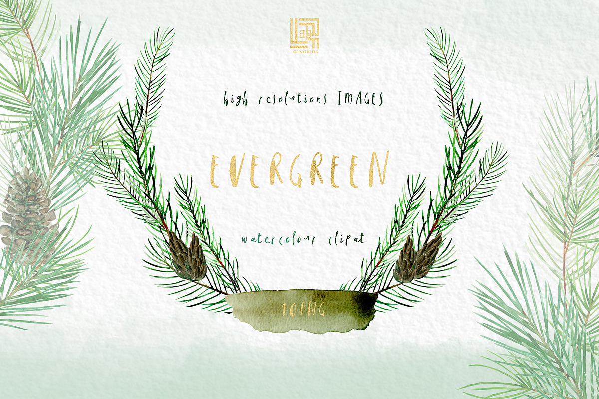 Pine. Watercolor clipart, an Illustration by LABFcreations (Photo 8 of 9)