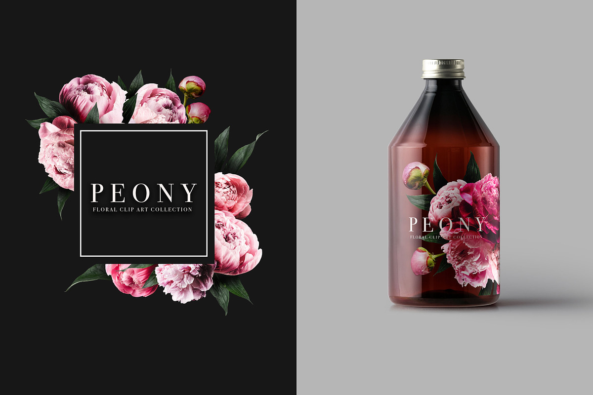 Peony Floral Clip Art, an Object Graphic by Eclectic Anthology (Photo 14 of 17)